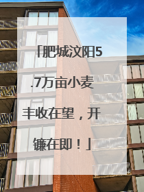 肥城汶阳5.7万亩小麦丰收在望，开镰在即！