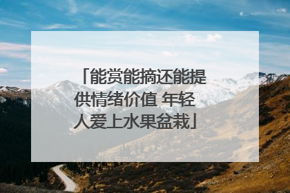 能赏能摘还能提供情绪价值 年轻人爱上水果盆栽