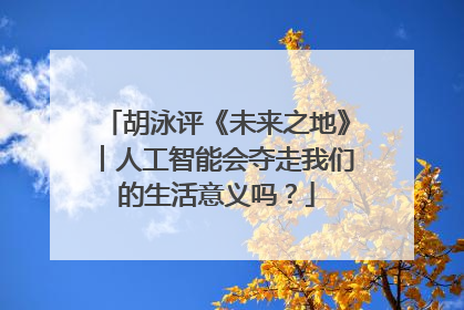 胡泳评《未来之地》︱人工智能会夺走我们的生活意义吗？