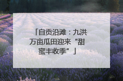 自贡沿滩：九洪万亩瓜田迎来“甜蜜丰收季”