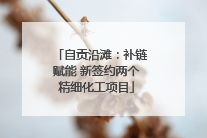 自贡沿滩：补链赋能 新签约两个精细化工项目