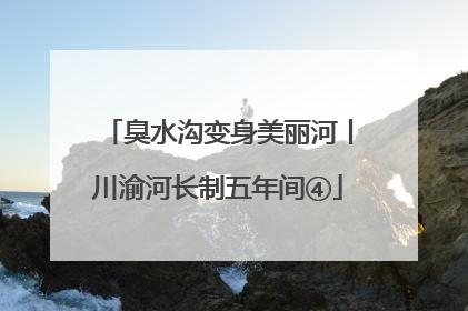 臭水沟变身美丽河丨川渝河长制五年间④
