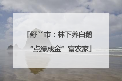 舒兰市：林下养白鹅 “点绿成金”富农家