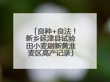 良种+良法！新乡延津县试验田小麦刷新黄淮麦区高产记录