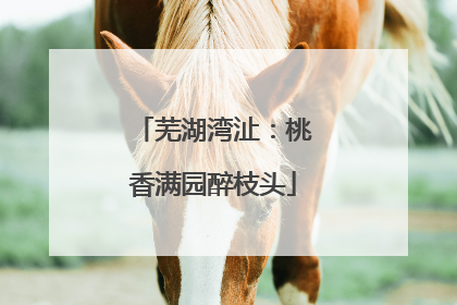 芜湖湾沚：桃香满园醉枝头
