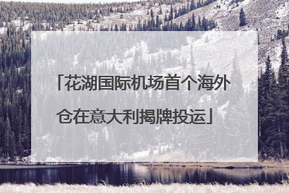 花湖国际机场首个海外仓在意大利揭牌投运