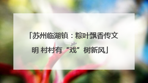 苏州临湖镇：粽叶飘香传文明 村村有“戏”树新风