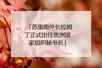 苏里南外长拉姆丁正式出任美洲国家组织秘书长
