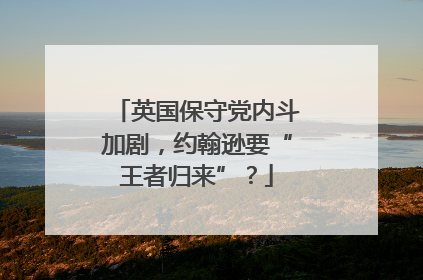 英国保守党内斗加剧，约翰逊要“王者归来”？