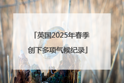 英国2025年春季创下多项气候纪录