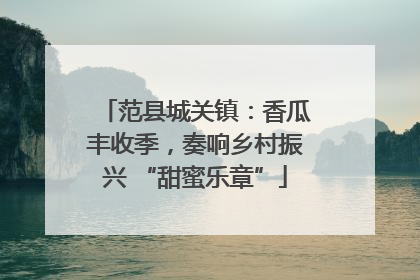 范县城关镇：香瓜丰收季，奏响乡村振兴 “甜蜜乐章”
