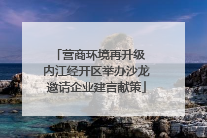 营商环境再升级 内江经开区举办沙龙邀请企业建言献策