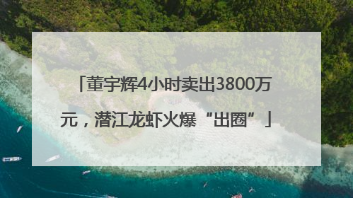 董宇辉4小时卖出3800万元，潜江龙虾火爆“出圈”