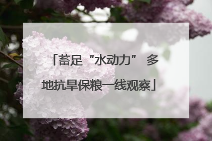 蓄足“水动力” 多地抗旱保粮一线观察