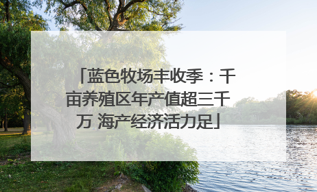 蓝色牧场丰收季：千亩养殖区年产值超三千万 海产经济活力足