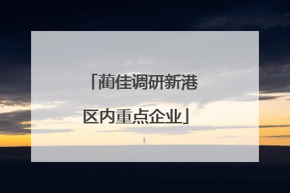 蔺佳调研新港区内重点企业