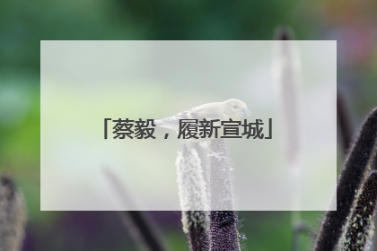 蔡毅，履新宣城