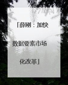 薛刚：加快数据要素市场化改革