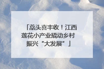 藠头喜丰收！江西莲花小产业撬动乡村振兴“大发展”