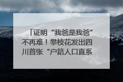 证明“我爸是我爸”不再难！攀枝花发出四川首张“户籍人口直系亲属关系谱”