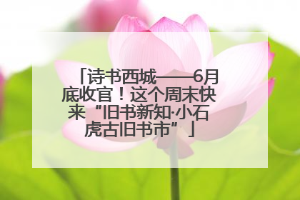 诗书西城——6月底收官！这个周末快来“旧书新知·小石虎古旧书市”