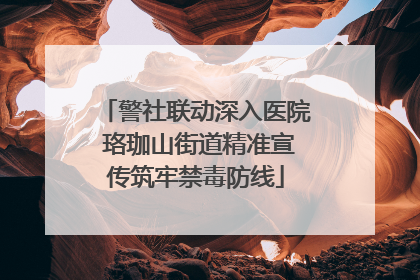 警社联动深入医院 珞珈山街道精准宣传筑牢禁毒防线