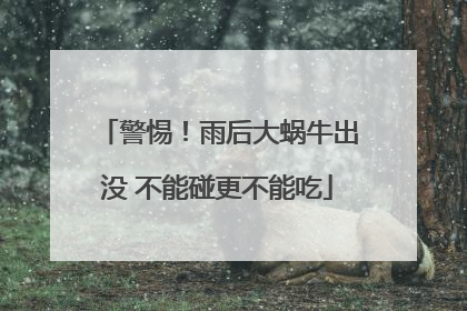 警惕！雨后大蜗牛出没 不能碰更不能吃