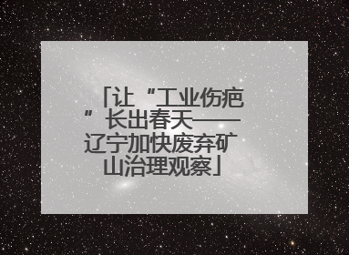 让“工业伤疤”长出春天——辽宁加快废弃矿山治理观察