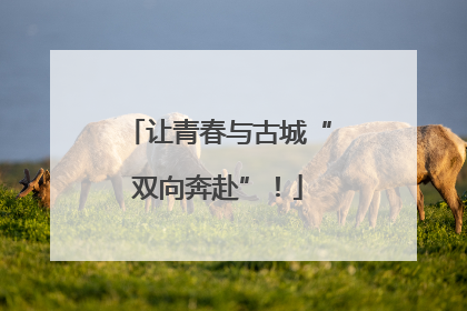 让青春与古城“双向奔赴”！