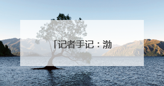 记者手记：渤海湾畔盐碱滩变身“新粮仓”