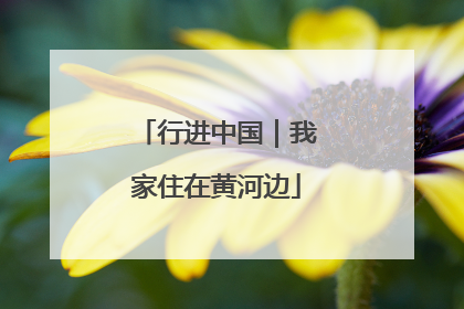 行进中国｜我家住在黄河边