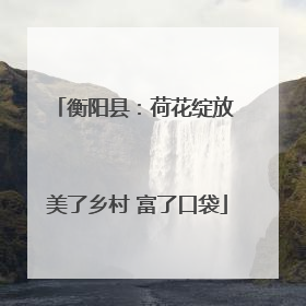 衡阳县：荷花绽放 美了乡村 富了口袋