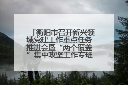 衡阳市召开新兴领域党建工作重点任务推进会暨“两个覆盖”集中攻坚工作专班 第一次会议