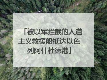 被以军拦截的人道主义救援船抵达以色列阿什杜德港
