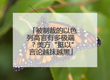 被制裁的以色列高官有多极端？美方“挺以”言论越抹越黑