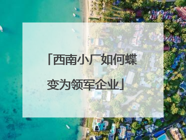 西南小厂如何蝶变为领军企业