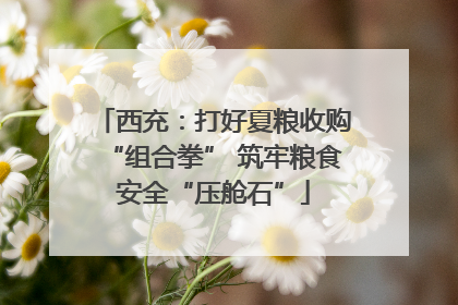 西充：打好夏粮收购“组合拳” 筑牢粮食安全“压舱石”