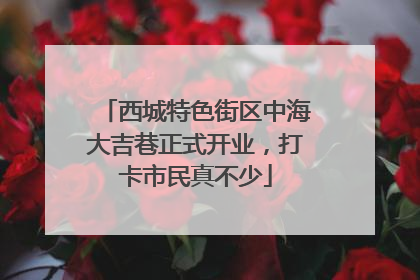 西城特色街区中海大吉巷正式开业，打卡市民真不少