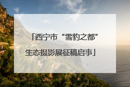 西宁市“雪豹之都”生态摄影展征稿启事