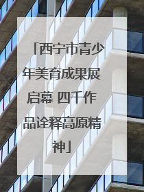 西宁市青少年美育成果展启幕 四千作品诠释高原精神