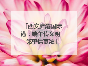 西安浐灞国际港：端午传文明 邻里情更浓