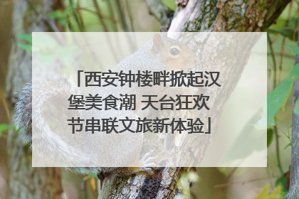 西安钟楼畔掀起汉堡美食潮 天台狂欢节串联文旅新体验
