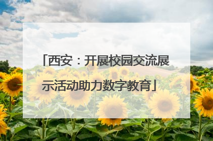 西安：开展校园交流展示活动助力数字教育