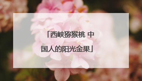 西峡猕猴桃 中国人的阳光金果