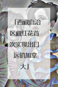 西藏自治区藏红花首次实现出口 远销加拿大
