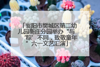襄阳市樊城区第二幼儿园衡庄分园举办“与‘粽’不同，致敬童年”六一文艺汇演