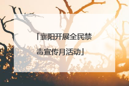 襄阳开展全民禁毒宣传月活动