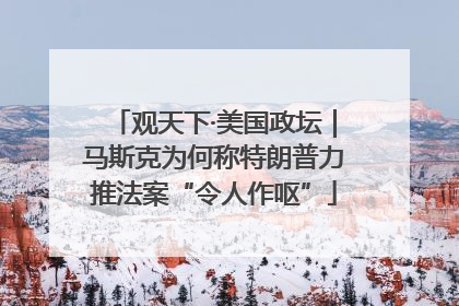 观天下·美国政坛｜马斯克为何称特朗普力推法案“令人作呕”