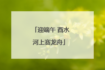迎端午 酉水河上赛龙舟