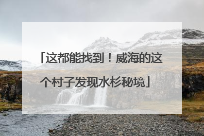 这都能找到！威海的这个村子发现水杉秘境